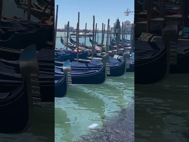 Gondolas In Venice
