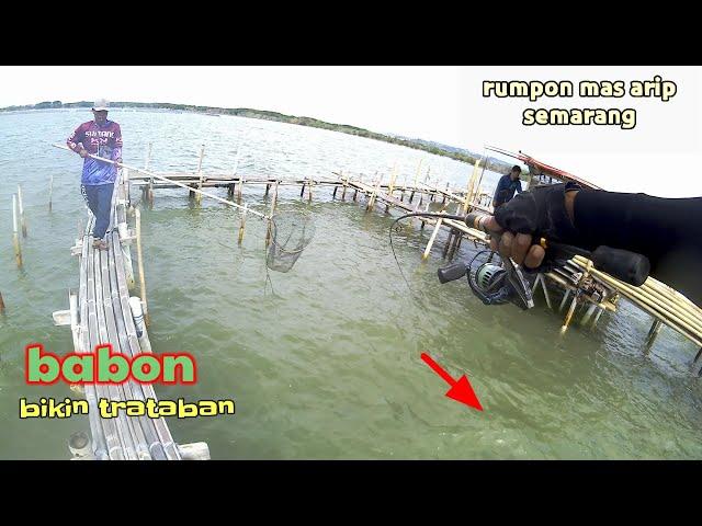 MANCING BARU!!!BAGAN MAS ARIP// IKAN RUNCAH MELIMPAHDAPET MONSTER BAGAN SEMARANG‼️