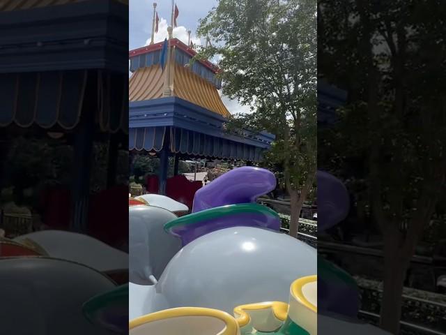 POV: Dumbo-  It’s Time to Fly!