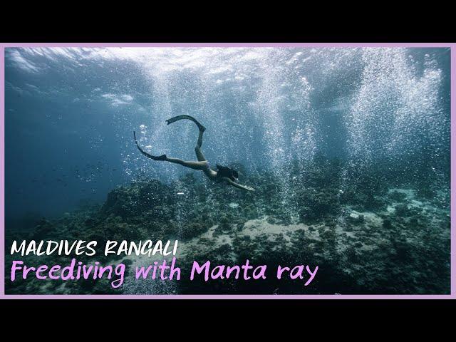 What a Manta! Freediving South Ari Atoll, Maldives.