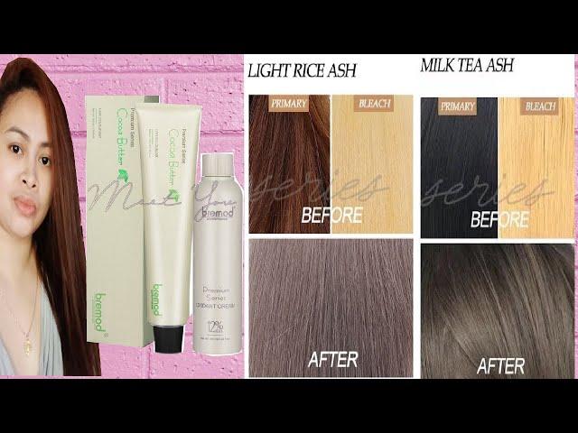 DIY HAIR COLOR | LIGHT RICE ASH + MILK TEA ASH | NO BLEACHING | BREMOD | Jan Nice