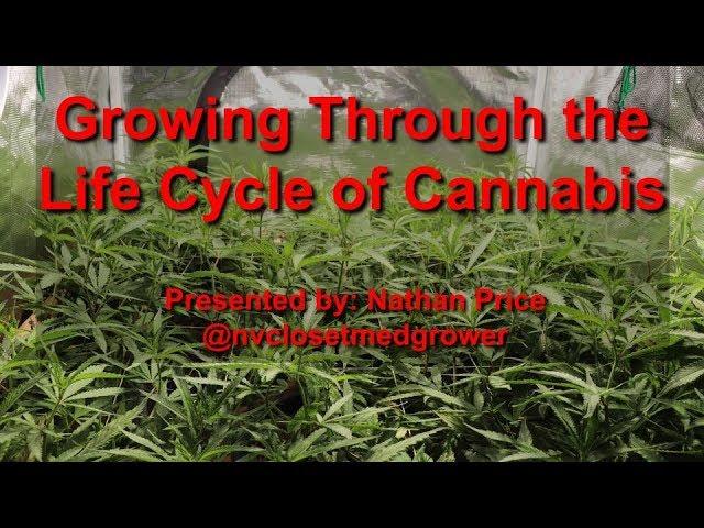 Growing Through the Life Cycle of Cannabis - Grow Class