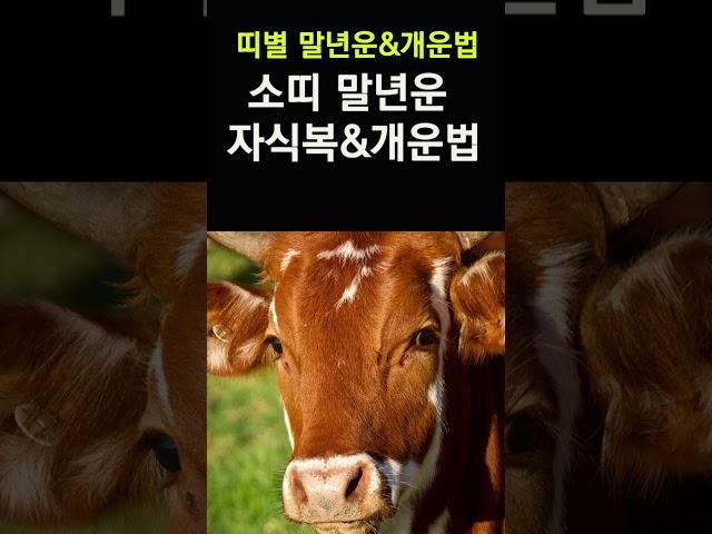 소띠 말년운, 자식복&개운법! 띠별로 확인하는 말년운과 자식복! 말년에 대박나기 위한 개운법! #말년운, #자식운, #개운법, #띠별운세, #소띠,