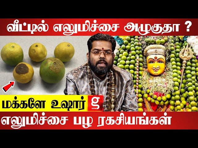 எலுமிச்சை பழத்தை கையில வாங்கிடாதீங்க...ஜாக்கிரதை | Astrologer Ramji Swamigal | Mystries of Lemon