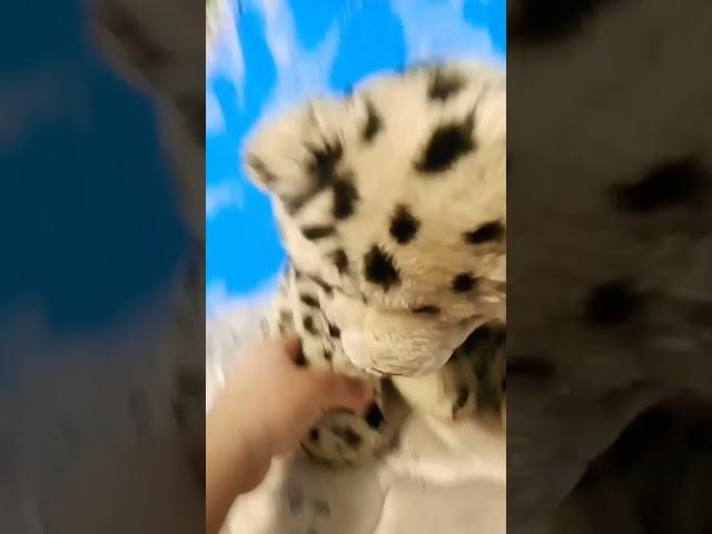 #stuffandthings