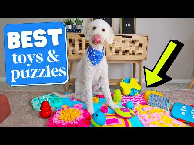 BEST Enrichment Toys & Puzzles  REVIEWED!