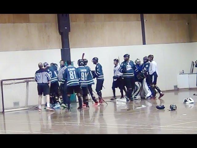 Best Ball Hockey Fights Best Ball Hockey Fist Fights Brawls (UFC + MMA) Not Bench-Clearing