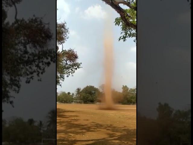 Cyclone