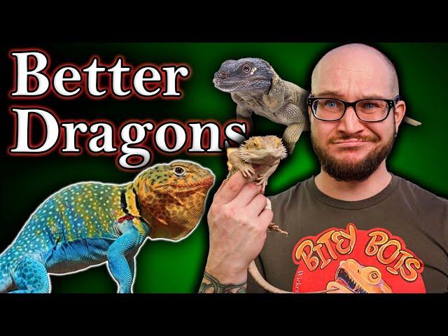 You DO NOT Want A Bearded Dragon! 5 BETTER Bearded Dragon Alternatives!