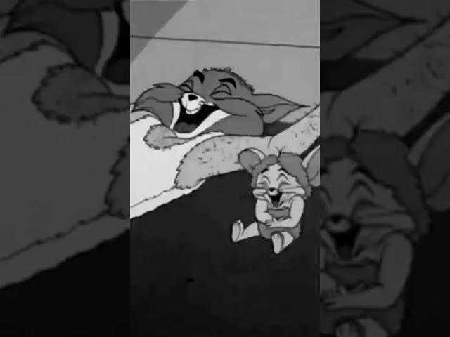 Tom and Jerry ki eternal jodi ️️️