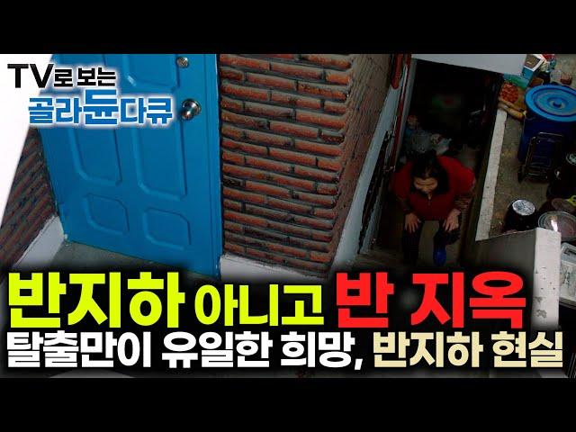 끝 없는 어둠, 무한 증식 곰팡이와의 동거. 탈출만이 유일한 소원이 됐다｜유일한 보금자리지만 동시에 반 지옥이 된 반지하 살이｜대한민국 반지하 현실｜#골라듄다큐