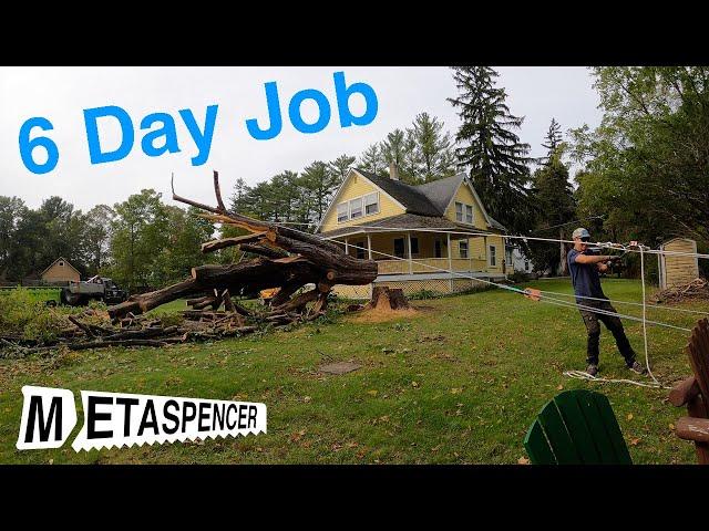 6 Day Job  - Solo Tree Work from Felling to Hauling