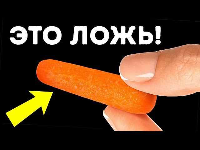 101 случайный факт для поддержания любого разговора