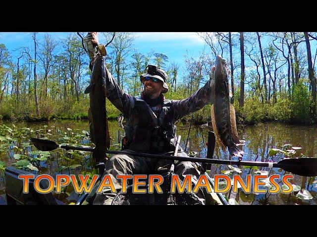 Topwater MADNESS in the PADS: Snakehead Fishing Tips and Action with the Infamous Dart Frog