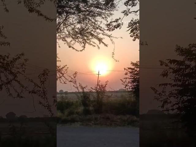 pyar