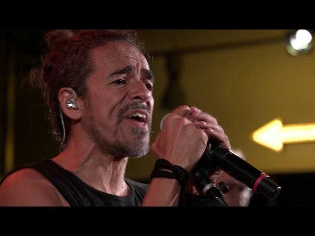 Café Tacvba - El Baile y El Salón (Live on KEXP)