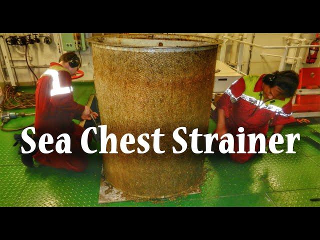 Sea Chest in Ship Explained | Strainer Cleaning & Inspection | Marine Engineer | RoamerRealm