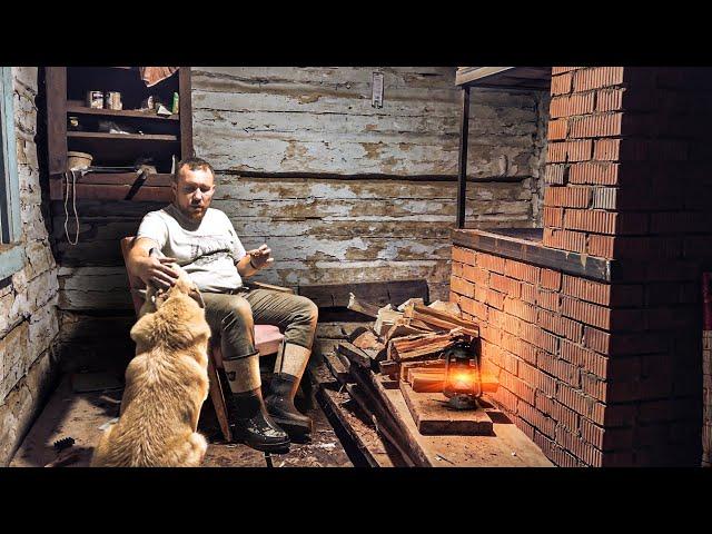 Восстанавливаю дедовский дом с собакой. ВОЛКИ НАС УЧУЯЛИ