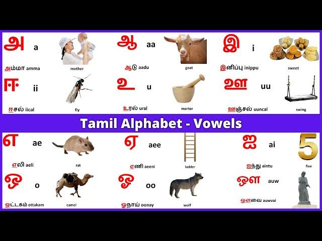 Tamil alphabets | Tamil Vowels | Learn Entry