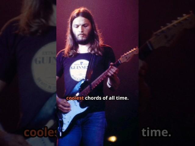 The Coolest Chord Ever! David Gilmour’s Echoing Genius #davidgilmour #pinkfloyd #rockstar #guitar