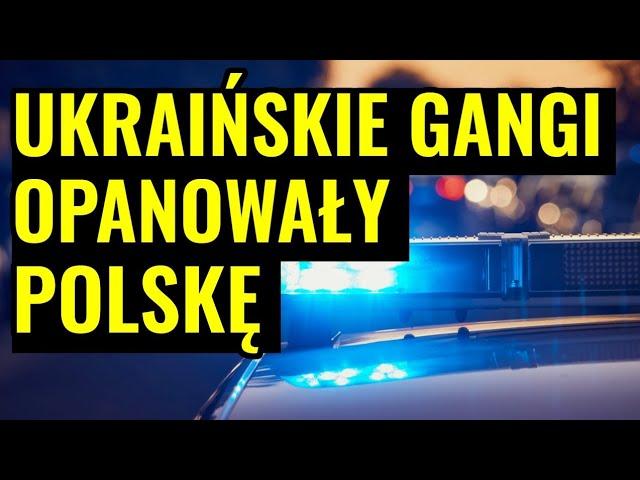 Jest źle! Zaczynają już atakować nawet policjantów! Gryzienie, opluwanie i strzelaniny