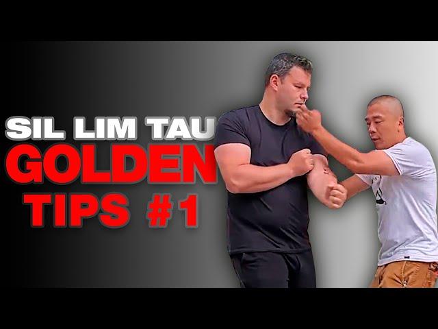 Sil Lim Tau - Solo Training