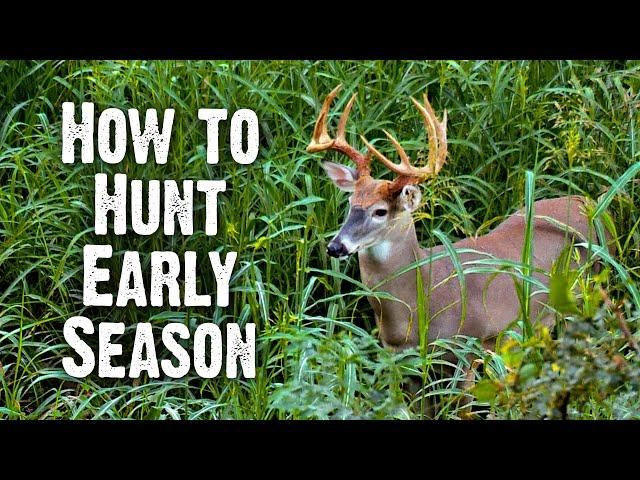 Early Season Hunting Strategies - Understand Bucks Behavior (833)