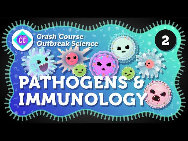 How Do Outbreaks Start? Pathogens and Immunology: Crash Course Outbreak Science #2