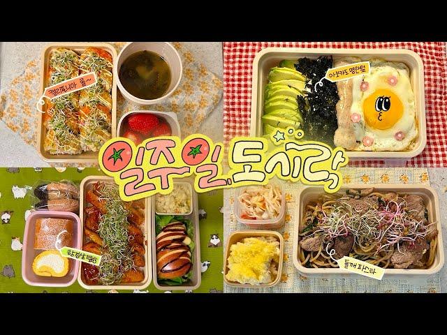 식비 절약은 실패했지만 마음은 든든한 자매의 일주일 도시락#68