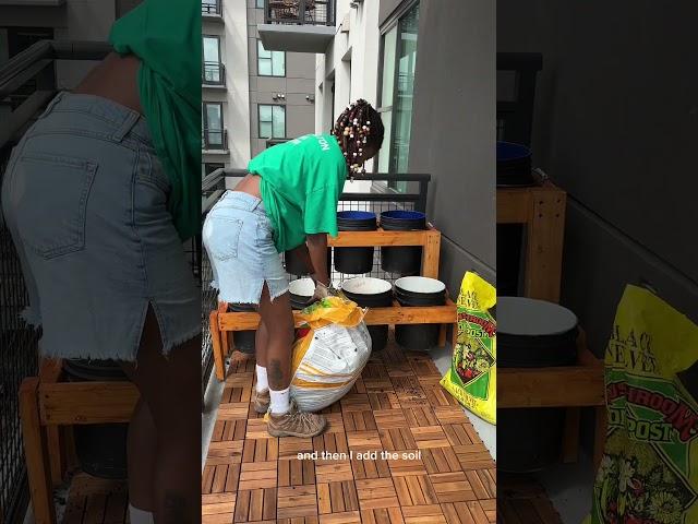 I Transformed an Apartment Balcony Into a Thriving Garden
