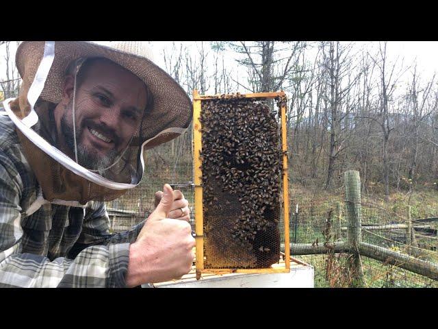 Winterizing my Bees! Hope this Works!