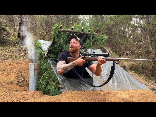 2 Day Solo Bushcraft | HUNT & COOK in my Deep Dugout Survival Shelter | Sambar Deer Hunting