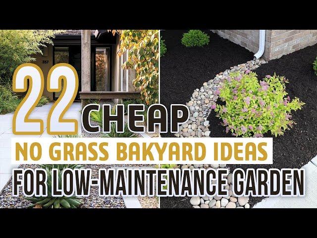 22 Cheap No Grass Backyard Ideas For Low-Maintenance Garden