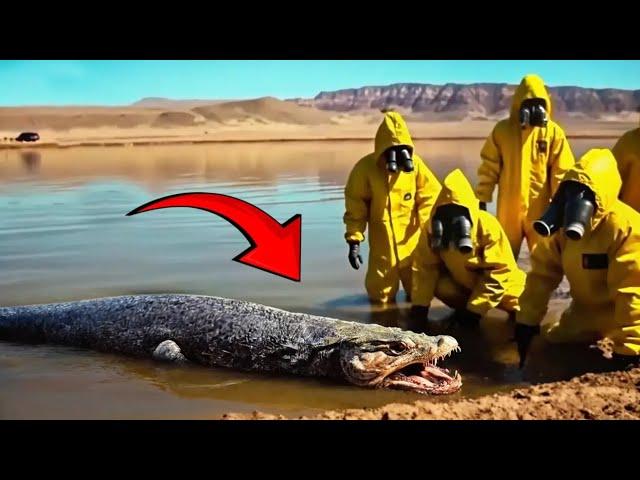 Shocking River Creatures That If Not Filmed Would Be Hard to Believe!