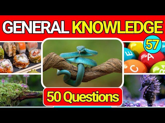 General Knowledge Quiz Trivia 57 | Can You Answer All 50 Questions Correctly? 2024