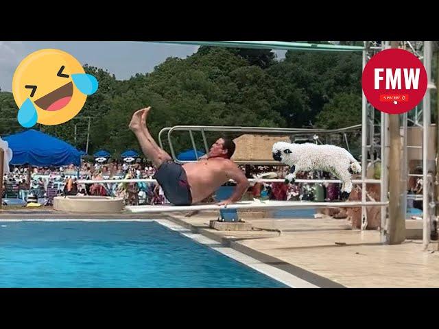 Funny & Hilarious People's Life  #82 - Try not to Laugh | Funny Fails Compilation 2024