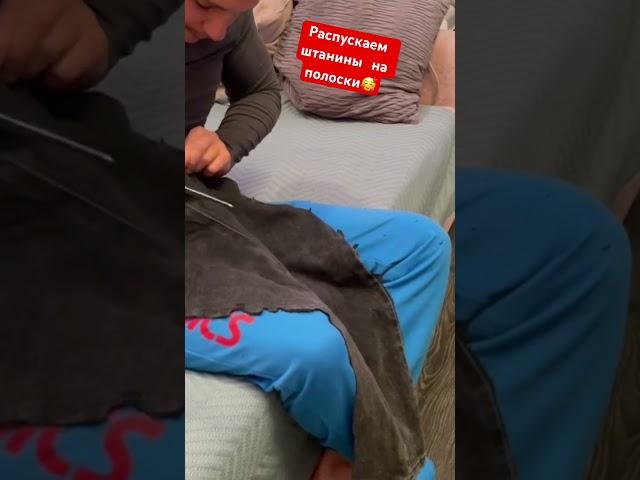 Голубой АМСтафф | Stafy.Лучшая игрушка для собак #амстафф #питбуль #stafy #игрушка #собаки #животные