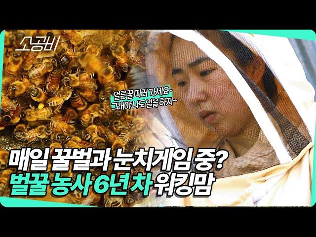 【눈에 띄는 그녀들】 매일 꿀벌과 눈치게임 중 | 벌꿀 농사 6년 차 워킹맘 | 소상공인시장tv