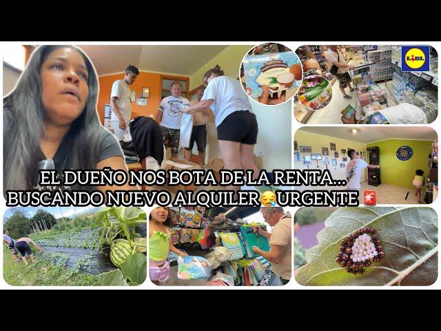 EN CASA DEL CUÑADO // MEGA COMPRAS EN LIDL(COSTO) // TODO ORGANICO 🫑// Plaga en los Girasoles 