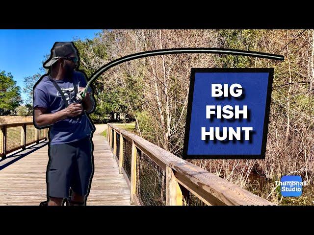 Can We Catch a Big Bass In This Summer Florida Heat? Bank Fishing Tips