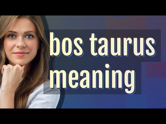 Bos taurus | meaning of Bos taurus