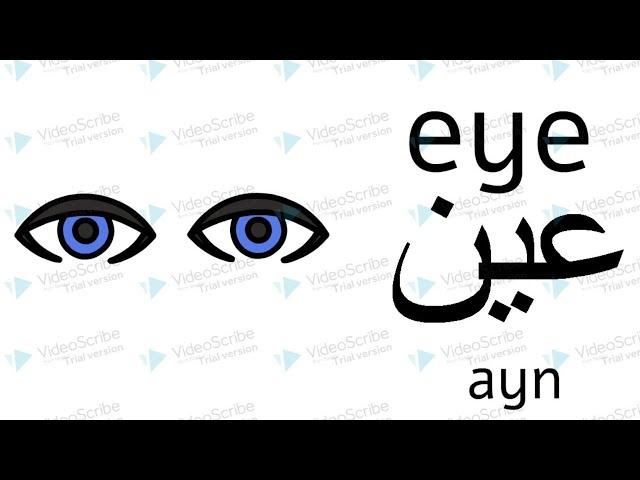 learning Arabic for beginners - the body parts