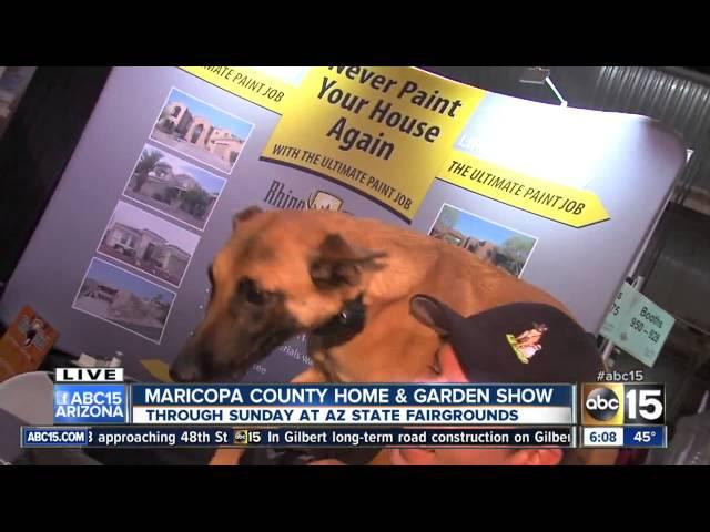 Dog Training Elite at Maricopa County Home & Garden Show