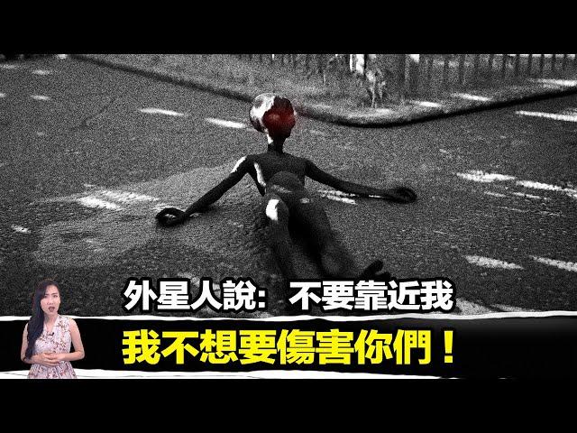 一名男子接觸了墜落飛碟裡的外星人，幾天後他居然神秘的死去！？ | 馬臉姐