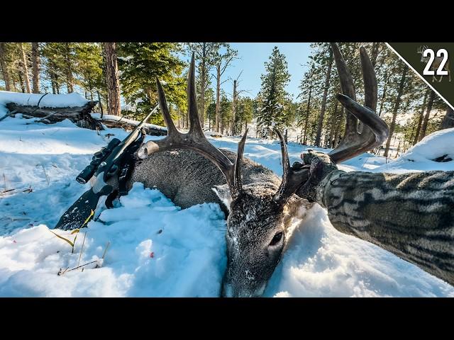 MASSIVE BIG WOODS BUCK! (Public Land Dream Hunt!)