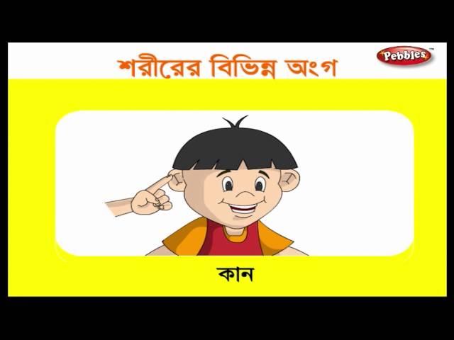 Preschool Learning Videos in Bengali | Kids Educational videos