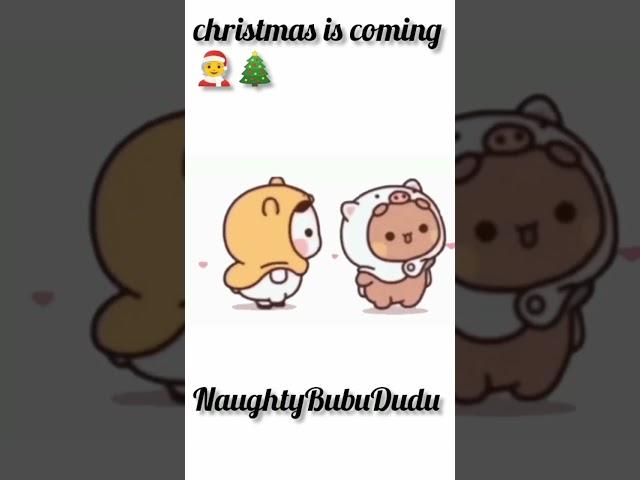 Christmas is coming ️#Naughtybubududu#shortfeed