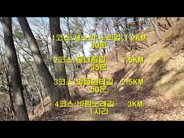 공주시 치유의 숲길 (청춘플러스 1기 이종관 작)