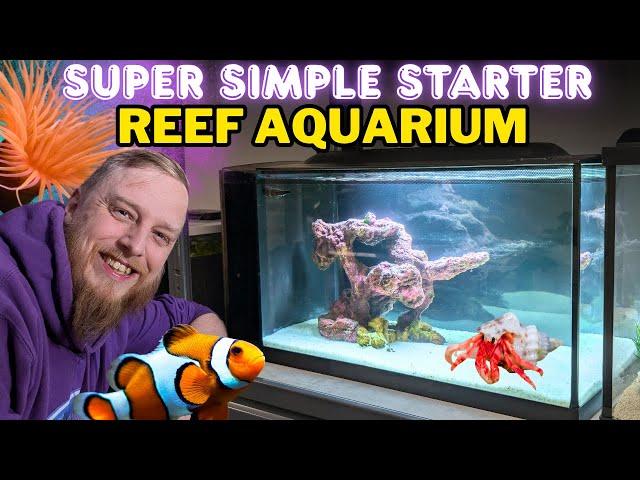 How to Set Up a Saltwater Aquarium: Step by Step Beginner's Guide