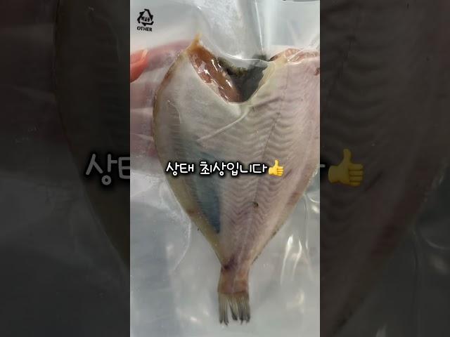 조기품절예상프리미엄 알가자미